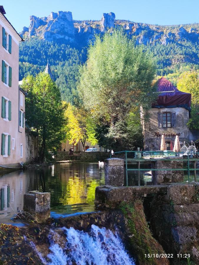 Grand Appartement De Charme Avec Parking Prive Florac Exterior foto
